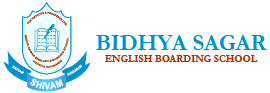 Bidhya Sagar School