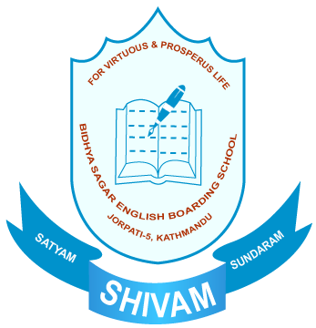 Bidhya Sagar School